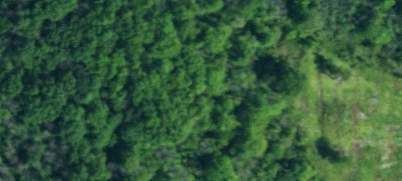 Partially Wooded Corner Development Land