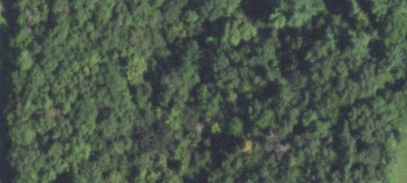 Recreational Hunting Land with Camp