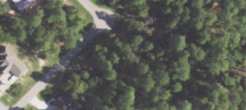 Homesite Backing National Forest