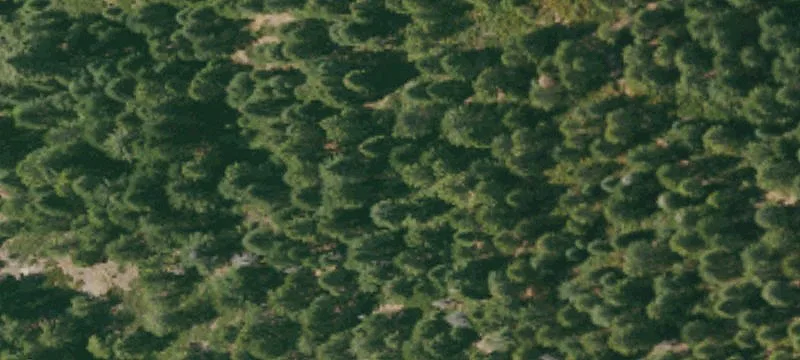 Mountain Off-Grid Land Parcel