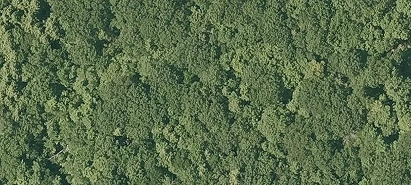 Wooded Hilltop Home Site