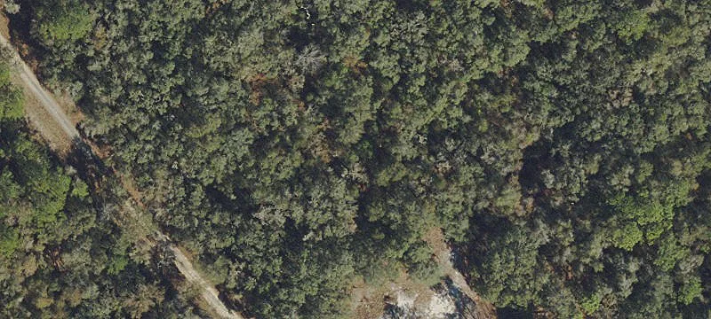 Wooded Residential Home Lot