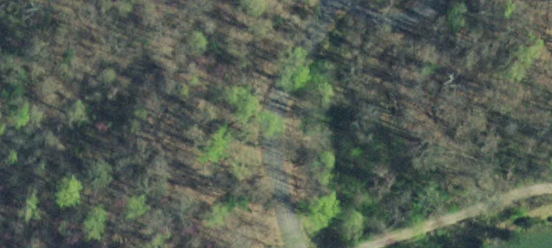 Buildable Mountain Home Lot
