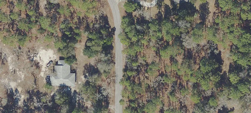 Treed New Home Lot