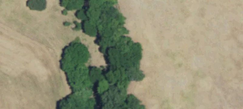 Horse Property with Arena and Shop