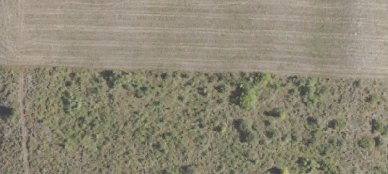 Residential Land Lot