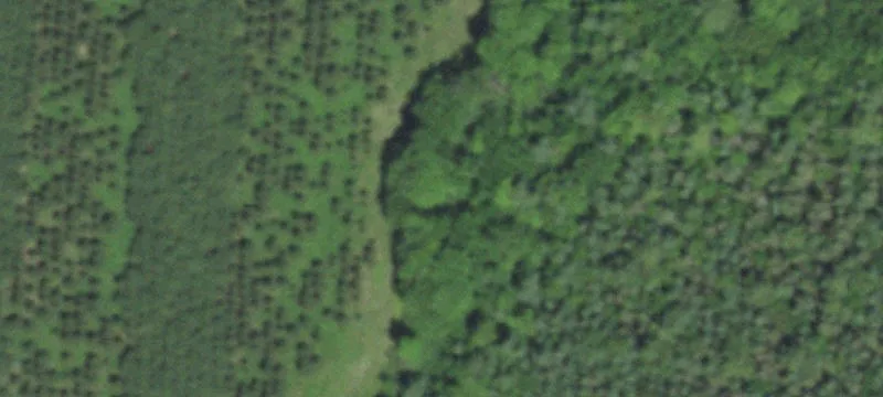 Hunting Land with Cabin