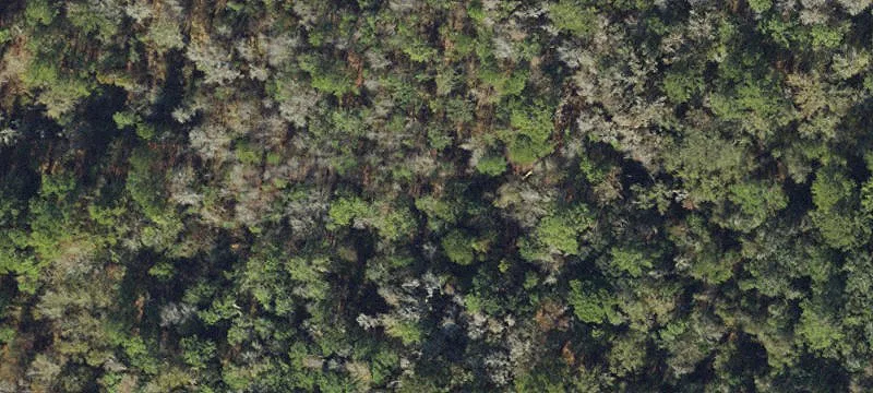 Agricultural Land Parcel