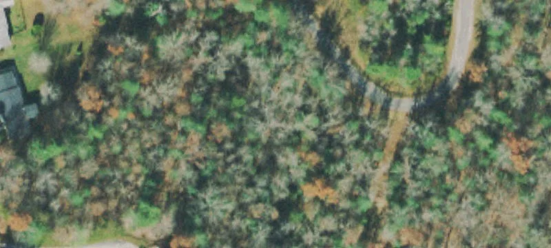 Wooded Residential Lot