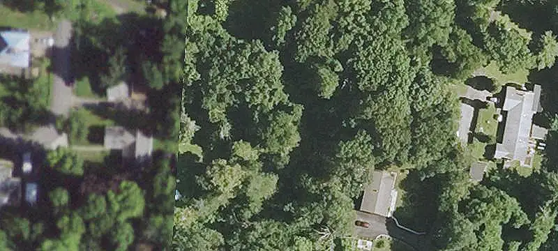 Level, Lightly Wooded Vacant Lot
