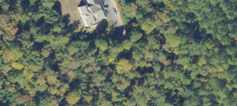 Wooded Residential Building Lot