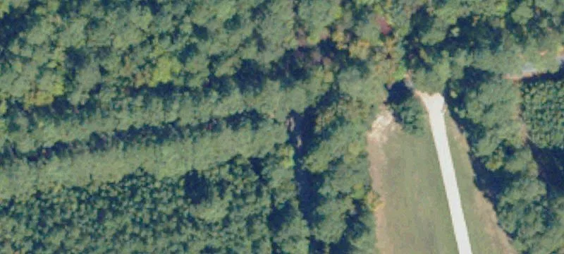 Cleared Waterfront Land Parcel