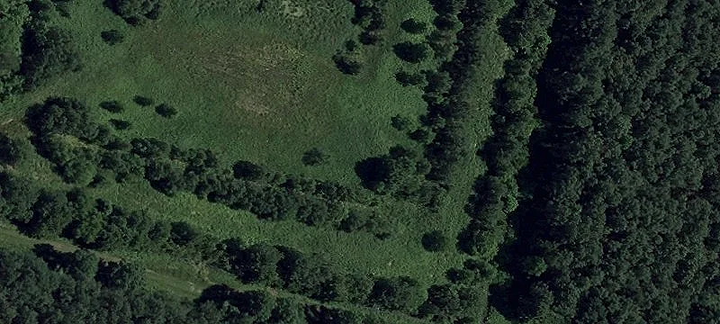 Hunting Land with Custom Home