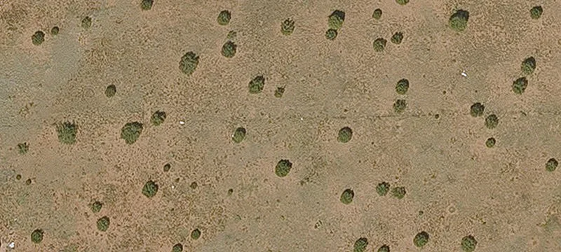 Contiguous Grazing Land Tracts