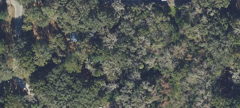Cleared Residential Home Lot