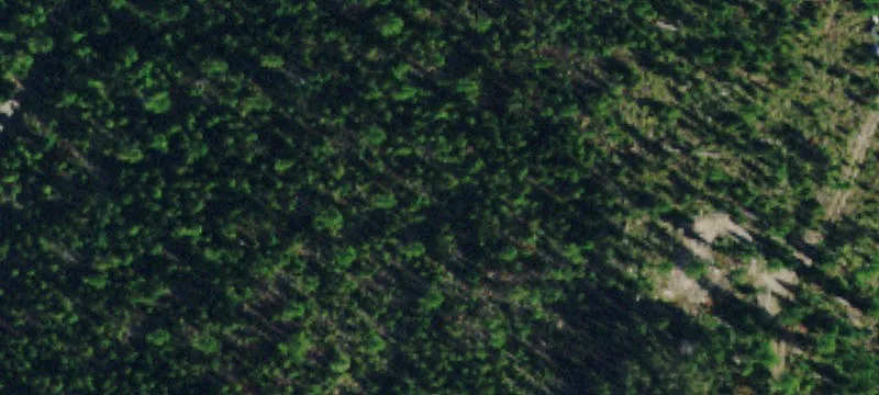 Mountain Recreational Land with Cabins