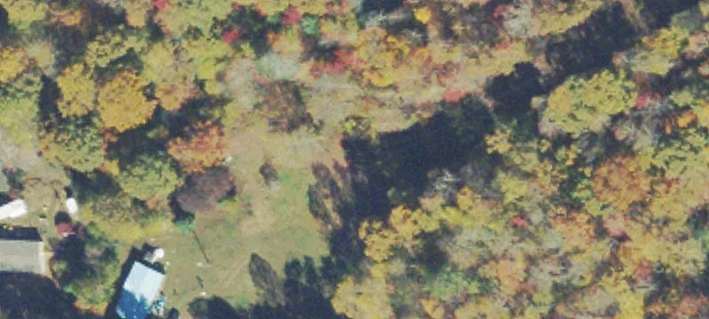 Two Adjacent Wooded Lots