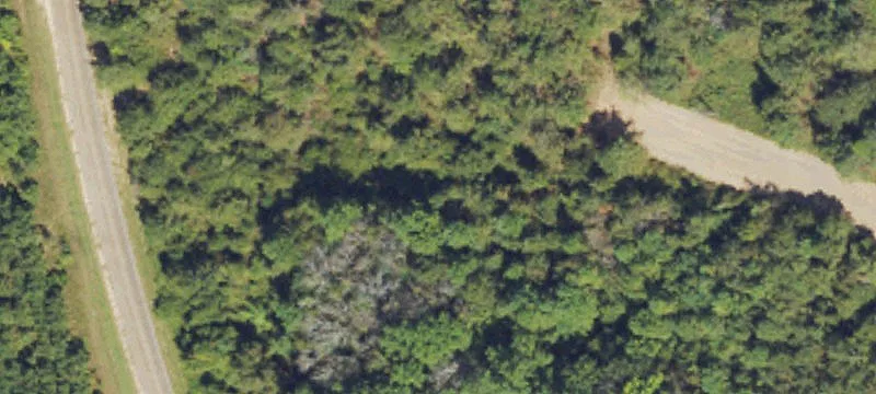 Unrestricted Country Land Lot