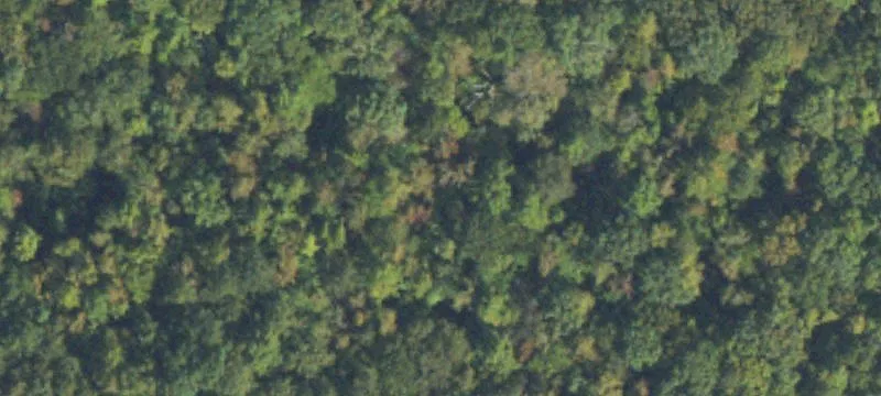 Private Wooded Home Site