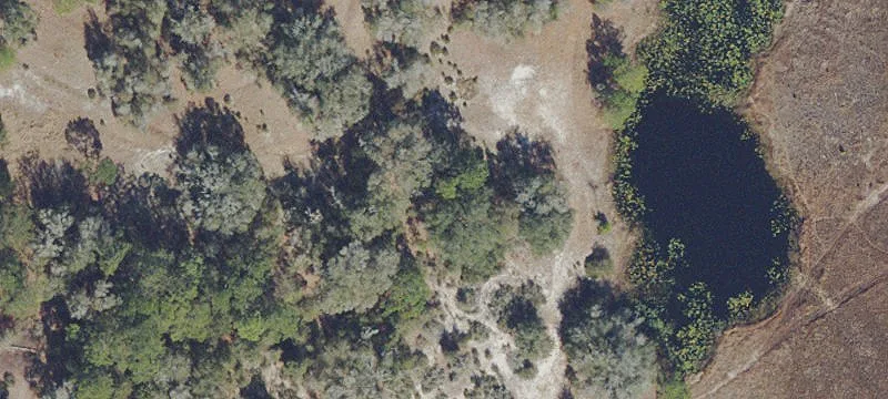 Specialty Land Parcel