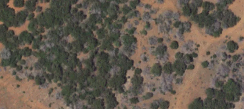 Historic Ranch Land with Stone Mill