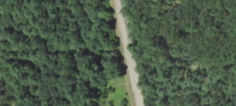 Wooded Recreational Land with Camping