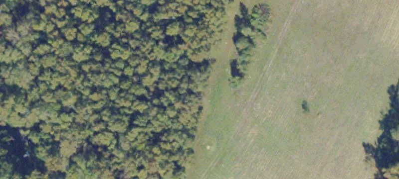 Buildable Land with Road Frontage