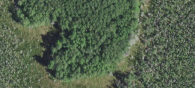 Wooded Waterfront Land Parcel