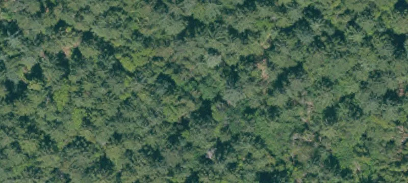 Forested Flat Land with Existing Shop