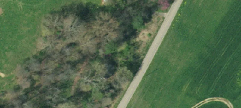 Residential Land Lot with Septic