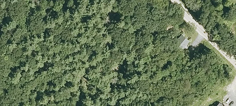 Wooded Residential Development Land
