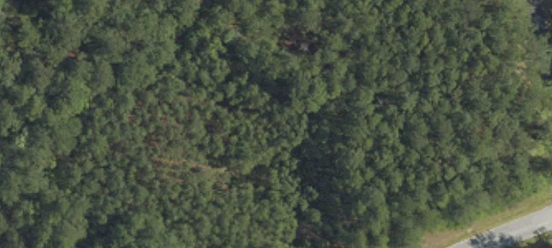 Corner Lot Commercial Land Parcel