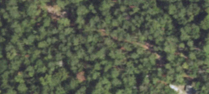 Wooded Residential Land Lot