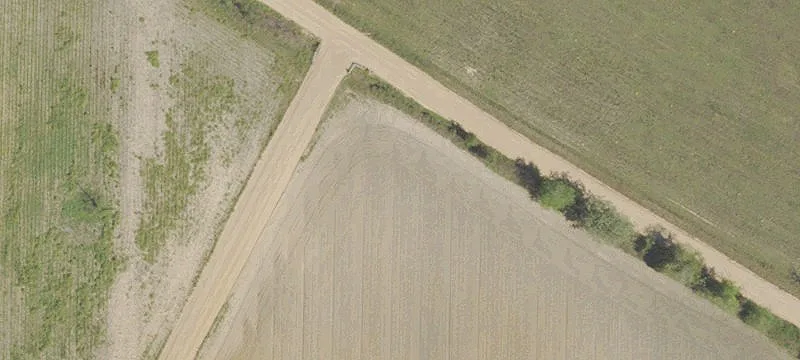 Row-Crop Farmland with Pond