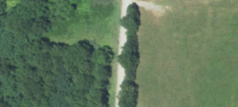 Turnkey Cattle Pasture Property
