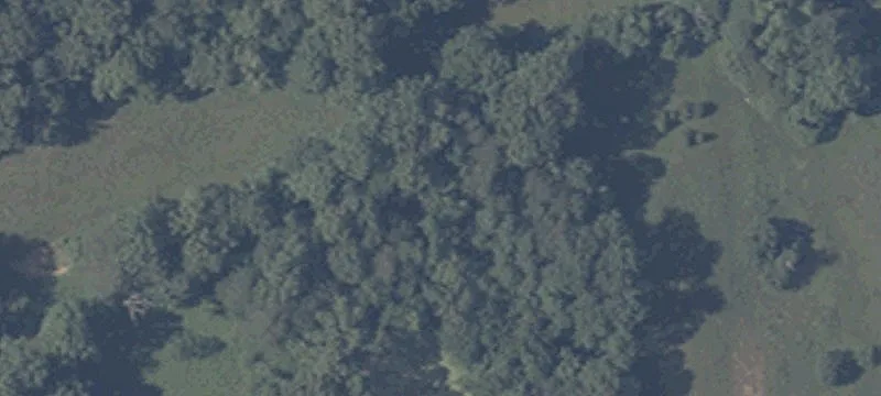 Wooded Building Lot with Pasture