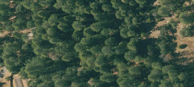 Usable Agricultural Land Parcel