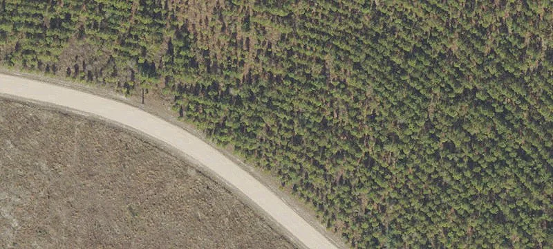 Residential Homesite in Golf Cart Community