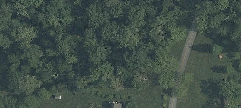 Wooded Recreational Land with Perc Site