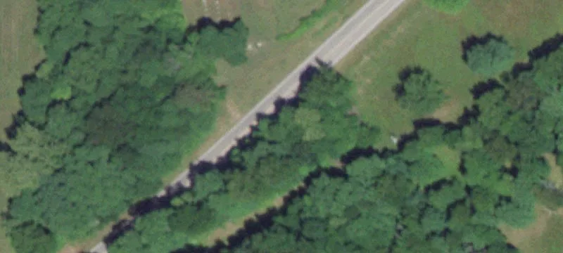 Equestrian Training Facility and Arena
