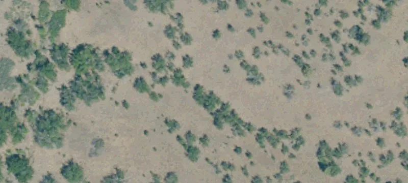 Recreational Hunting Land Parcel