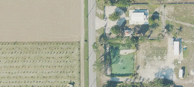 Exotic Fruit Tree Farm Land