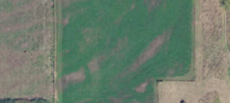 Mostly Level Farmland Parcel