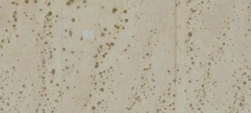 Residential Home Lot