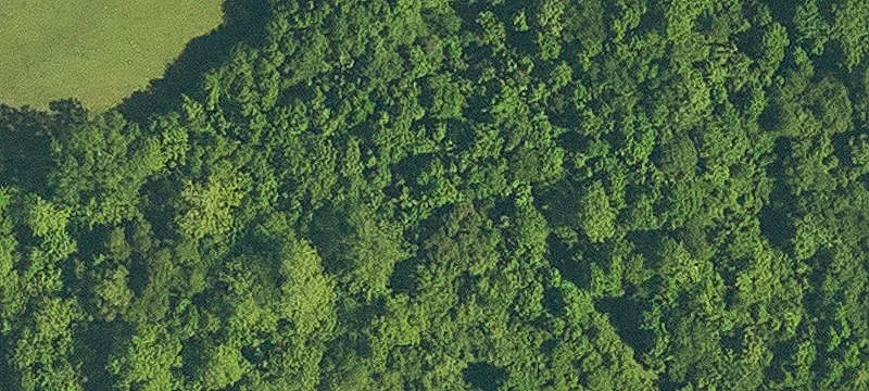 Residential Land Parcel