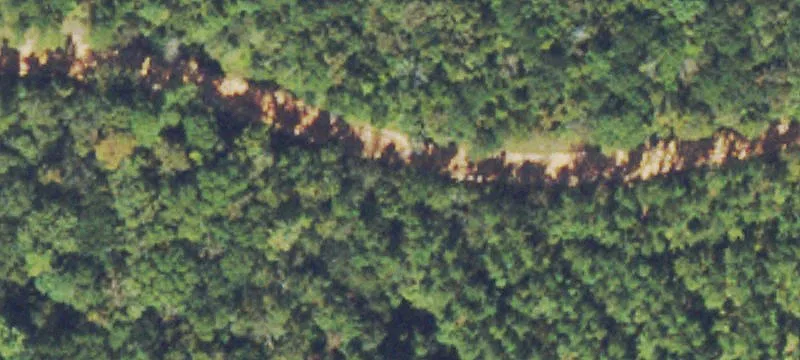 Wooded Mobile Home Lot