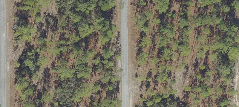 Residential Land Lot