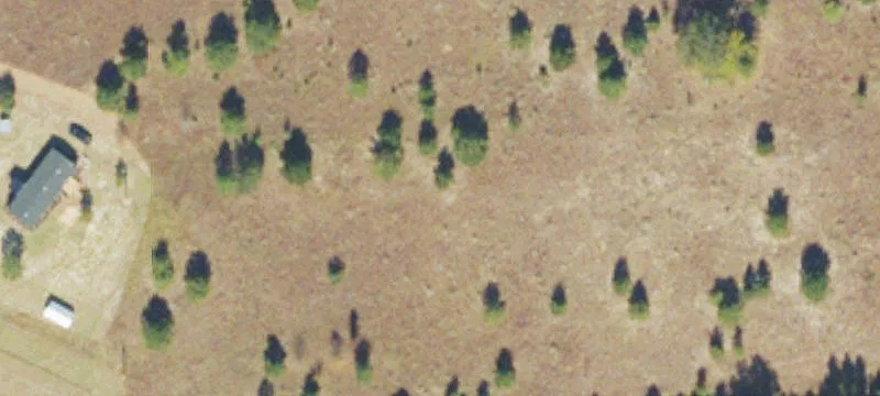 Open Land with Hardwood Back Patch