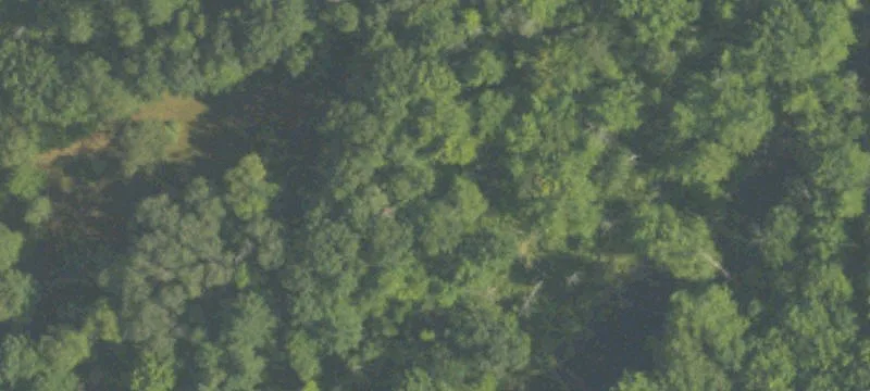 Recreational Land with Flat River Frontage