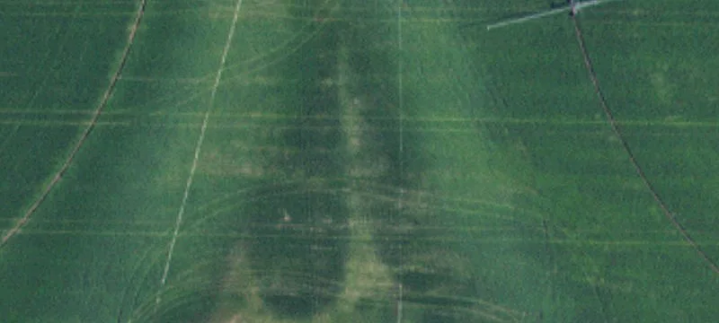 Irrigated Agricultural Land Ranch